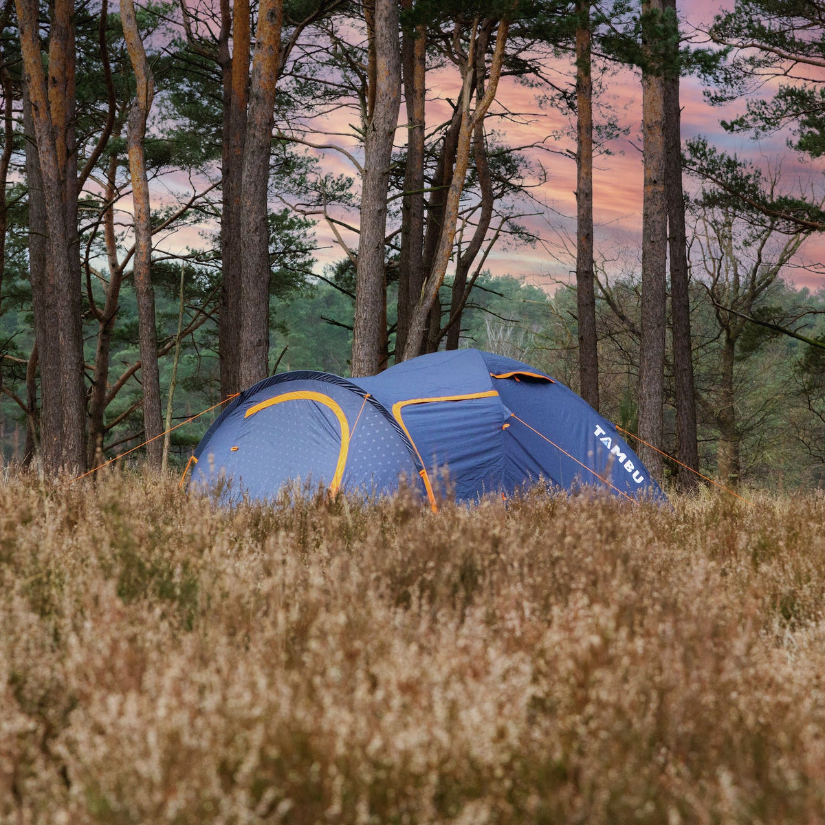 Blaues 3-Personen-Kuppelzelt von Tambu Outdoor mit orangen Akzenten steht in einem Wald bei Sonnenuntergang