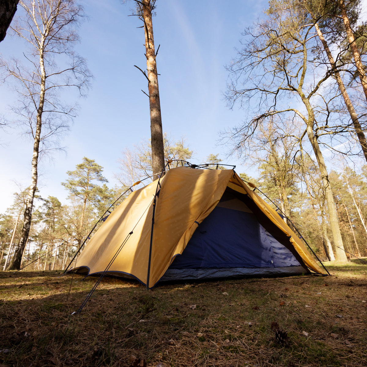 Gelbes EMANI 3 Schnellaufbauzelt von Tambu Outdoor in einem Wald mit geöffnetem Eingang und sichtbarem Innenraum