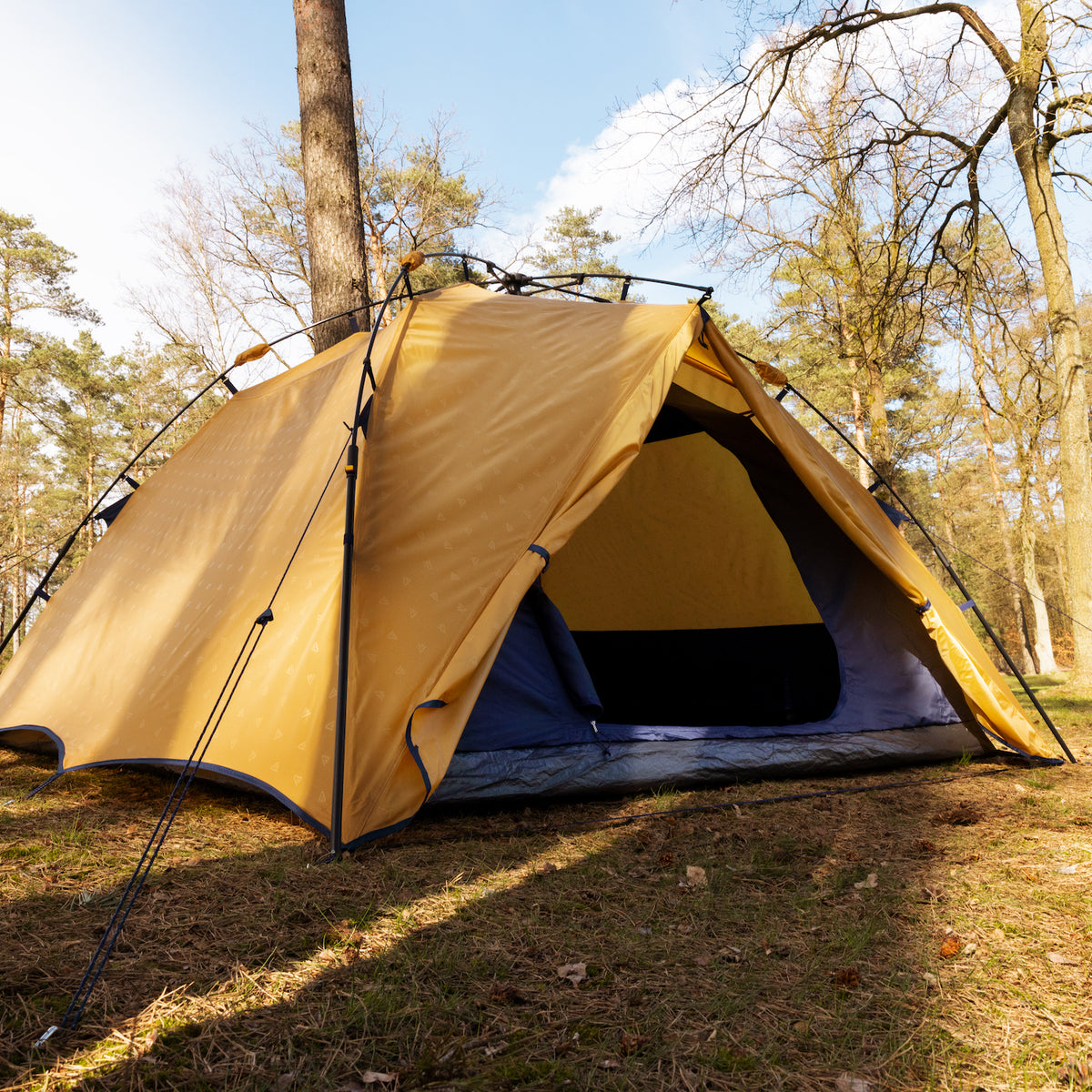 Gelbes EMANI 4 Schnellaufbauzelt von Tambu Outdoor in einem Wald mit geöffnetem Eingang und sichtbarem Innenraum