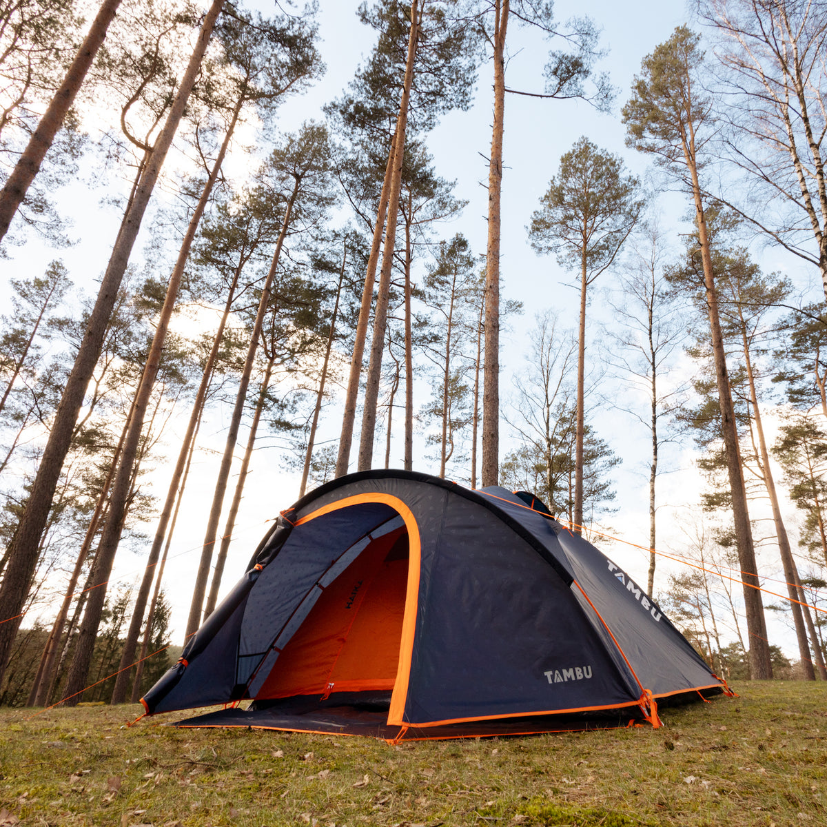 HAIKA 4-Personen Kuppelzelt von Tambu Outdoor in dunkelblau mit orangefarbenen Akzenten, auf einer Wiese im Wald aufgestellt