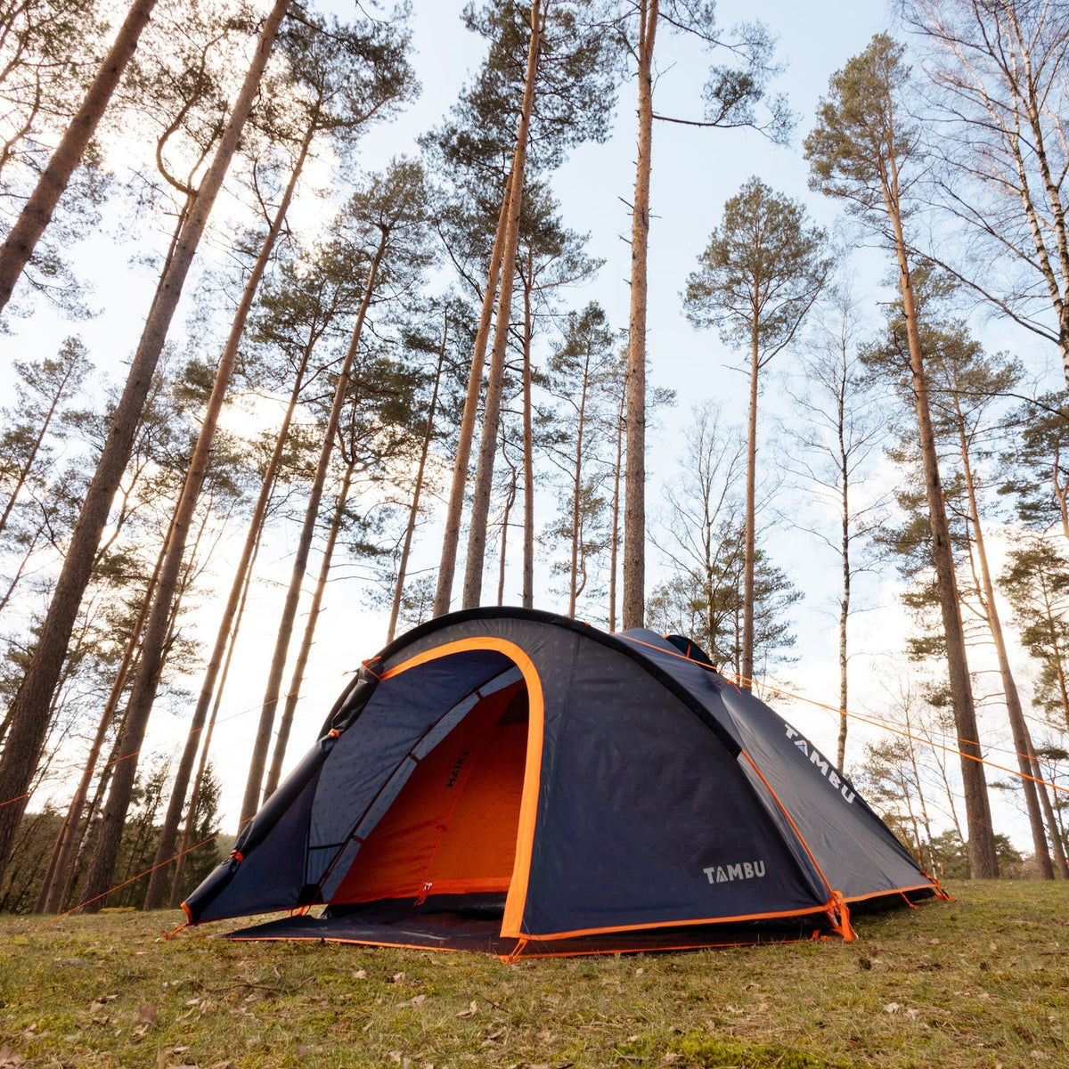 HAIKA 2-Personen Kuppelzelt von Tambu Outdoor in dunkelblau mit orangefarbenen Akzenten, auf einer Wiese im Wald aufgestellt