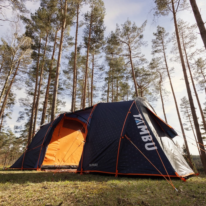 Blaues MANDAPA 4 oder 6 Familienzelt von Tambu Outdoor mit Vis-à-Vis-Aufbau, steht im Wald zwischen hohen Kiefern