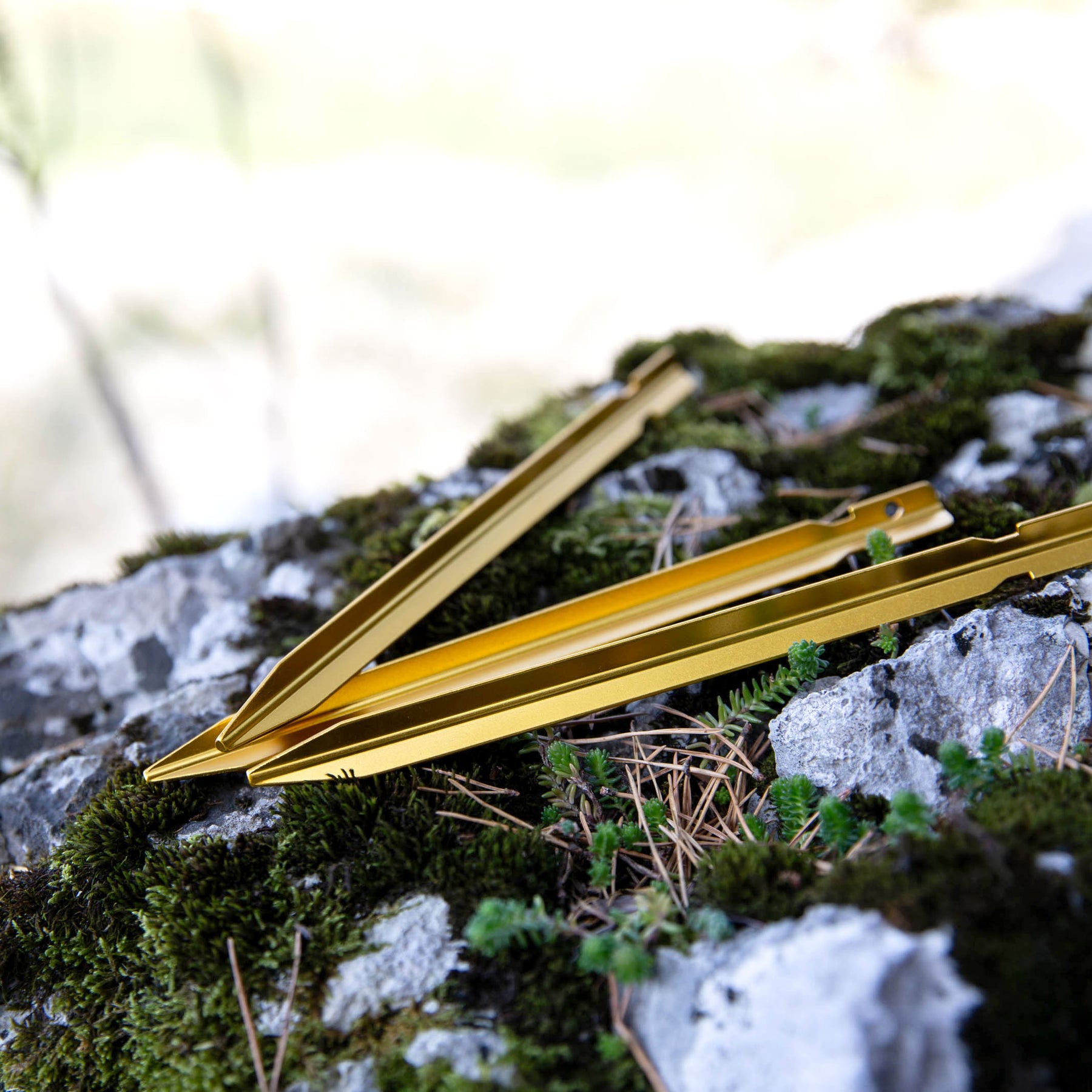 Drei goldfarbene ultraleichte Aluminium-Heringe von Tambu Outdoor liegen auf moosbedecktem Felsen
