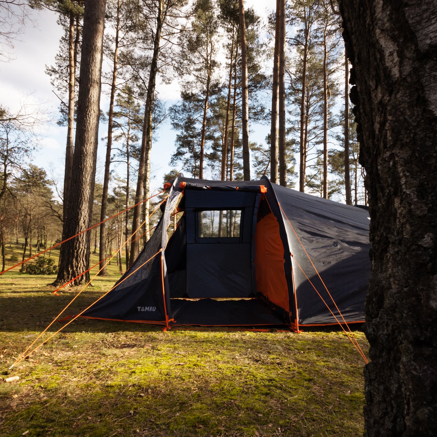 silvertree zelt abbau ABAKASA 5